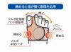 ソルボ外反母趾サポーター 解説