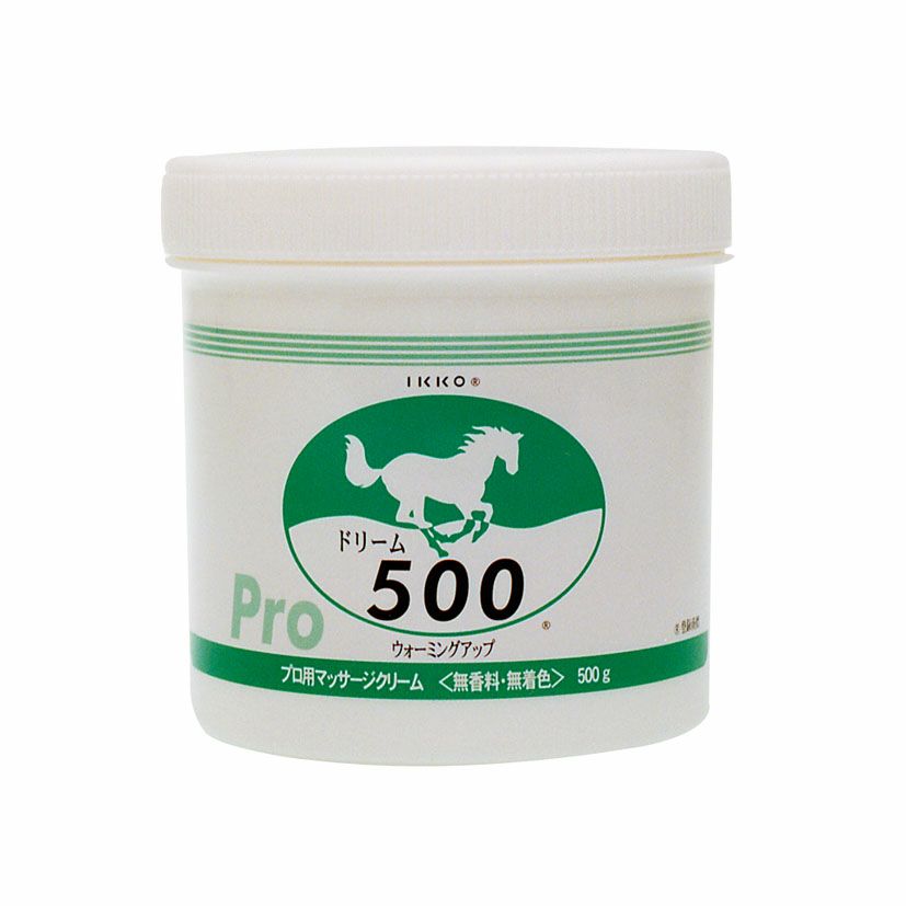 ドリーム500
