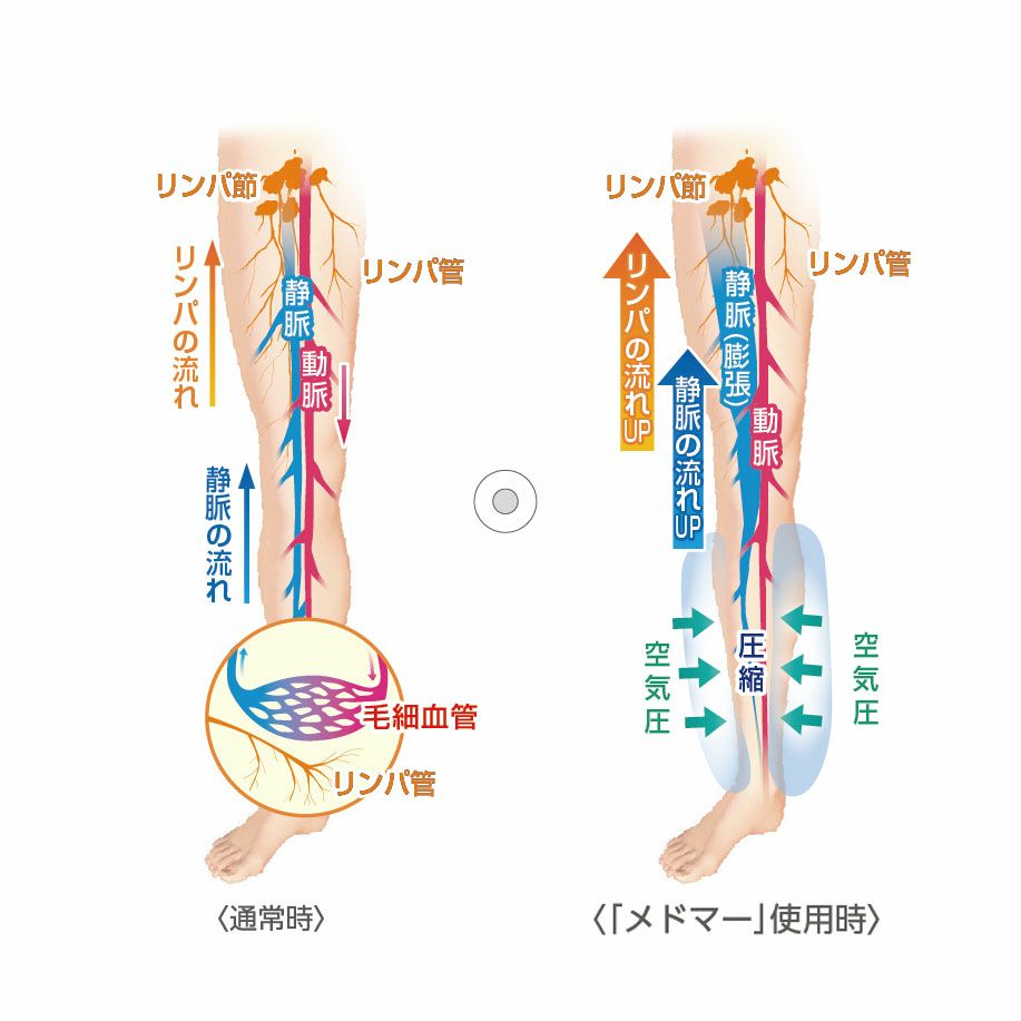 ドクターメドマー 解説