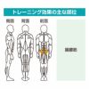 膝上げ訓 GK-004