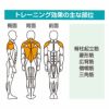 腰楽訓 GK-005