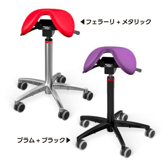 サリーソロ