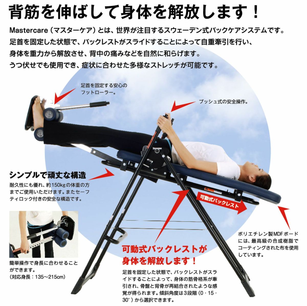 マスターケア 解説